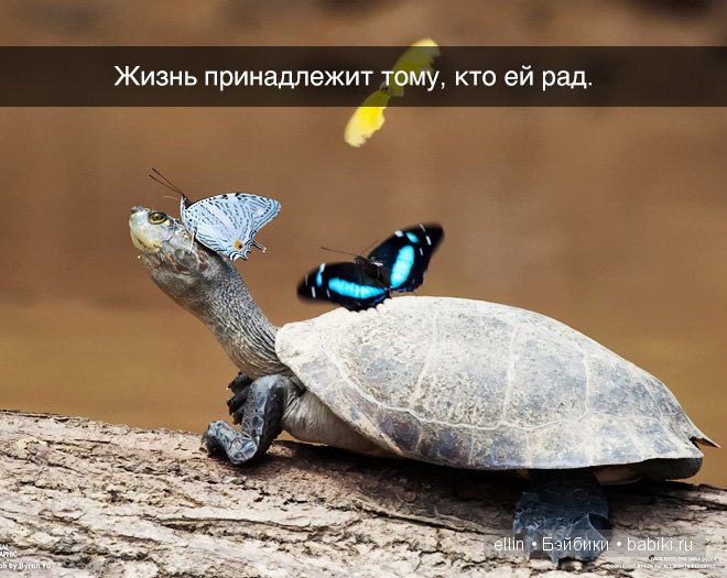 "Когда находишь свое, на другое даже смотреть не хочется". В мире мудрых мыслей-4