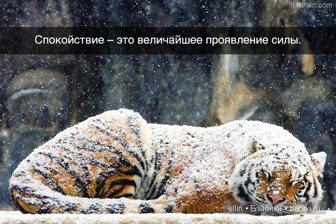 "Когда находишь свое, на другое даже смотреть не хочется". В мире мудрых мыслей-4