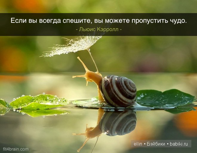 "Когда находишь свое, на другое даже смотреть не хочется". В мире мудрых мыслей-4
