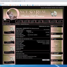 Нужна помощь на oncesoreal.com