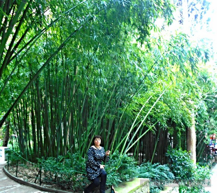 Крымские рассказы — Интересное и необычное: фотоподборки