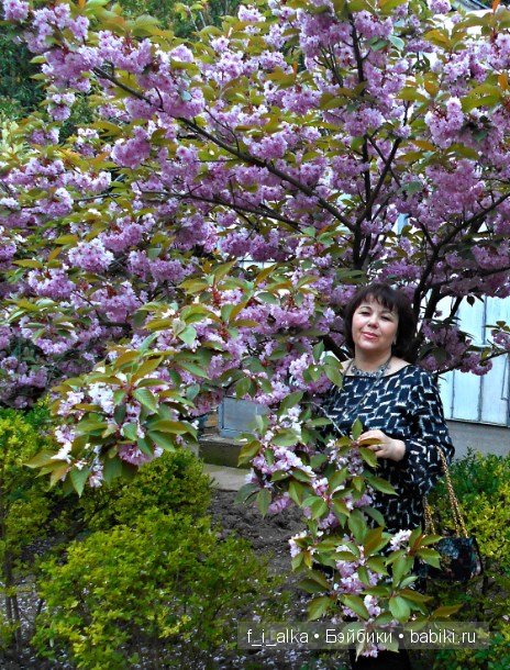 Крымские рассказы — Интересное и необычное: фотоподборки