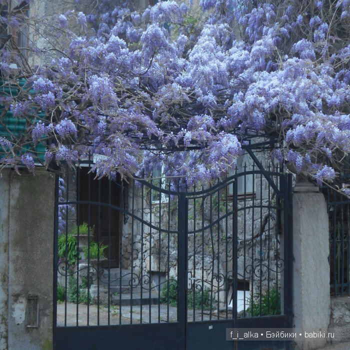 Крымские рассказы — Интересное и необычное: фотоподборки (фото 2)