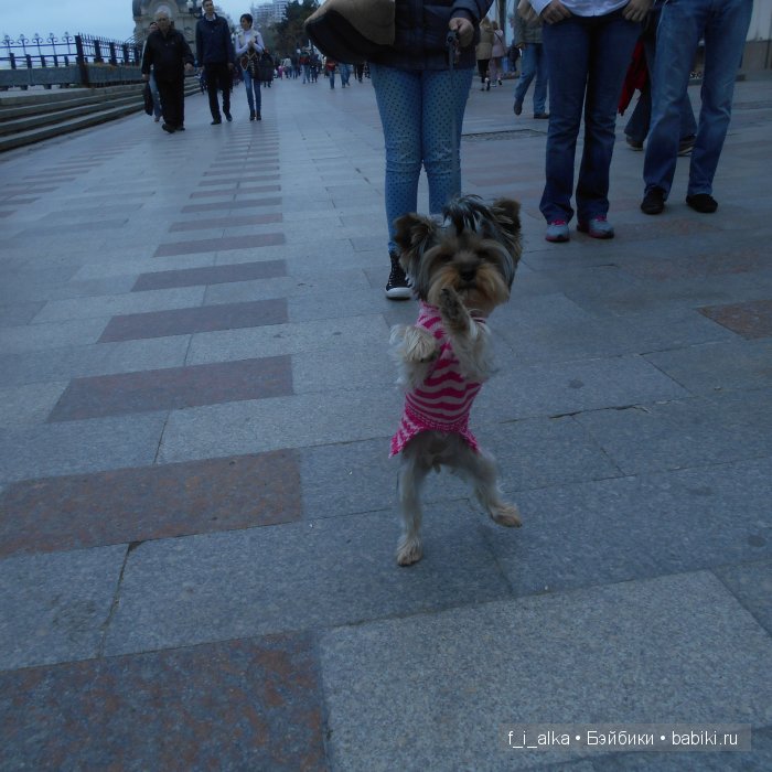 Крымские рассказы — Интересное и необычное: фотоподборки