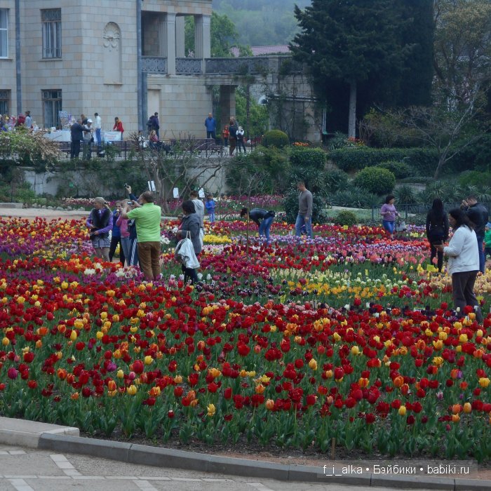 Крымские рассказы — Интересное и необычное: фотоподборки
