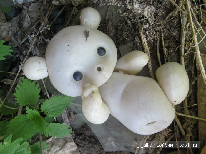 Родина моя Россия, прошлое в тишине... Деревня Верхорубы Вятской губернии