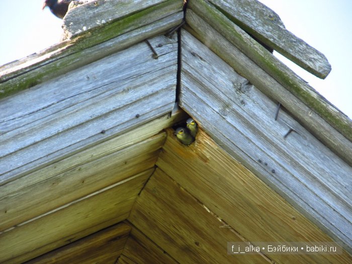 Родина моя Россия, прошлое в тишине... Деревня Верхорубы Вятской губернии