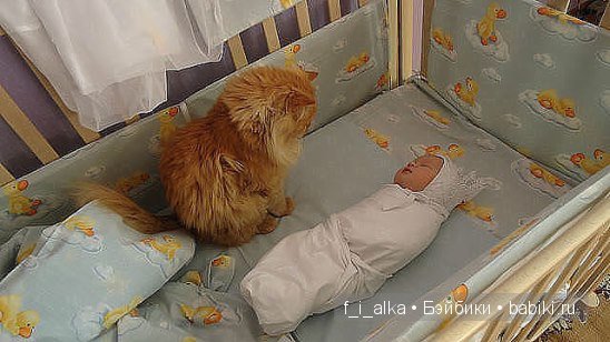 Милые забавы — Интересное и необычное: фотоподборки (фото 9)