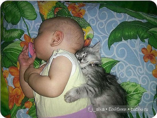 Милые забавы — Интересное и необычное: фотоподборки