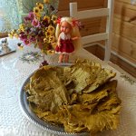 "Правильная" долма, осенью на даче.