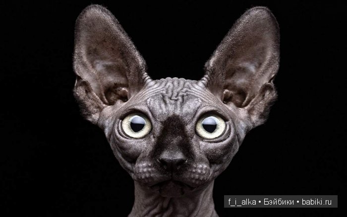 О жещины... немного весеннего настроения прекрасной зимой | Бэйбики О жещины... немного весеннего настроения прекрасной зимой (фото 5)