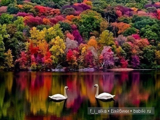 О жещины... немного весеннего настроения прекрасной зимой