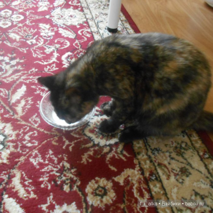 Готовим быстро: 100% сливочное масло (фото 5)