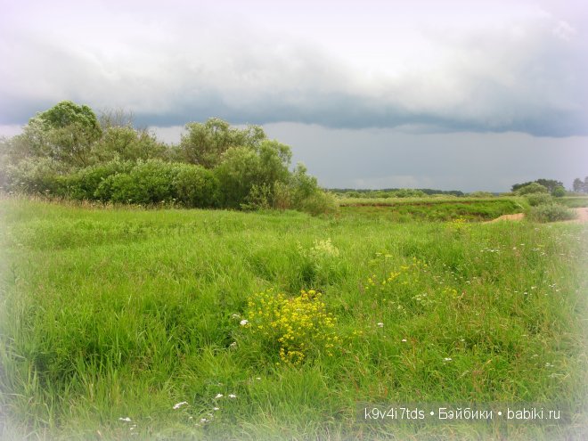 Девочка-лето. Wernicke Nicaput German doll (фото 3)