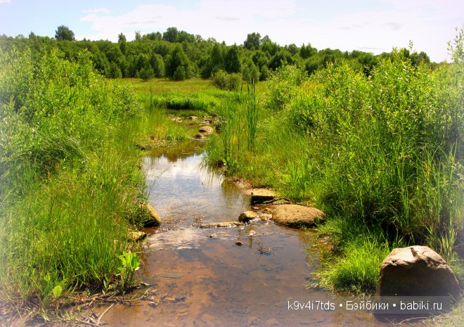 Счастливый день. Антикварная кукла от Armand Marseille (фото 6)