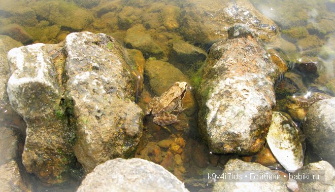 антикварная кукла, Armand Marseille