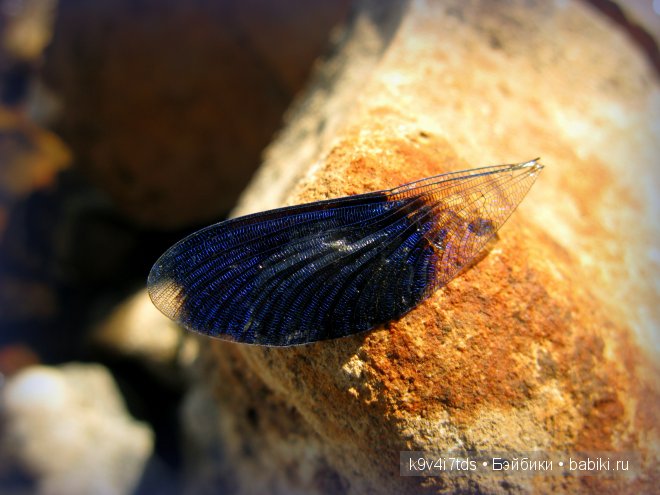 антикварная кукла, Armand Marseille