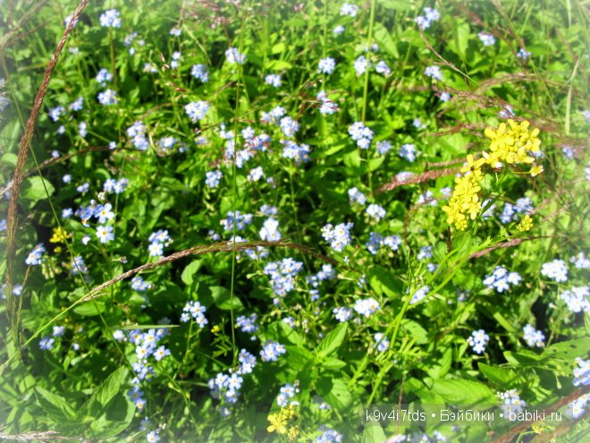 Счастливый день. Антикварная кукла от Armand Marseille