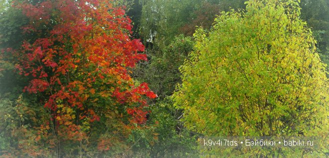 Кукольный калейдоскоп. Третья часть (фото 10)