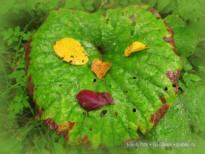 Кукольный калейдоскоп. Третья часть (фото 2)