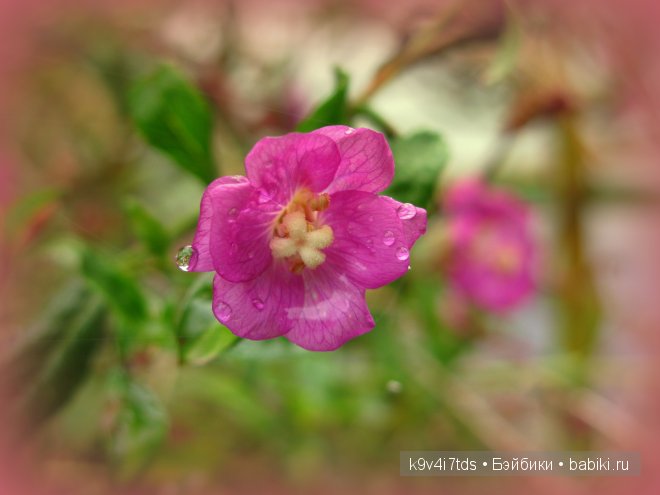 Кукольный калейдоскоп. Третья часть