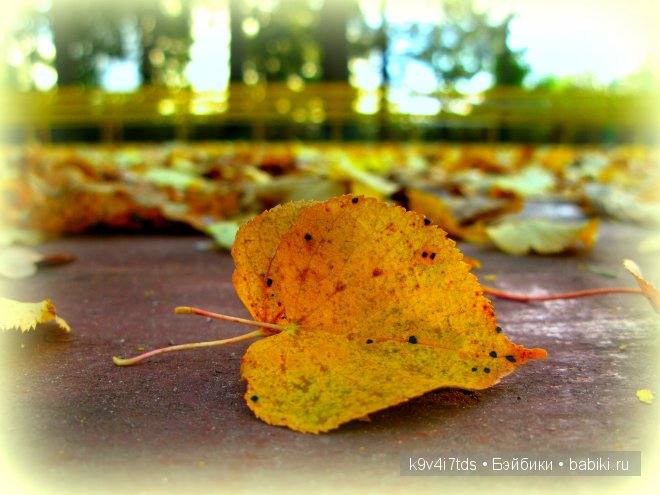 Кукольный калейдоскоп. Третья часть (фото 6)