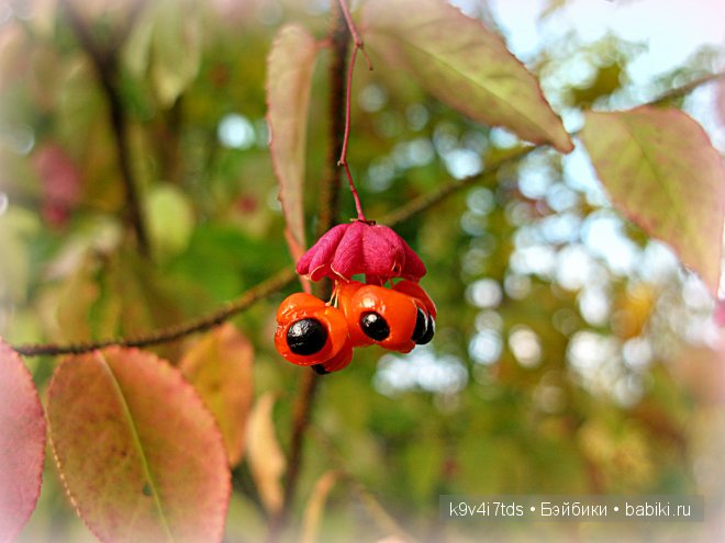 Кукольный калейдоскоп. Третья часть (фото 5)