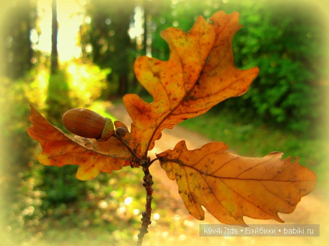 Кукольный калейдоскоп. Третья часть