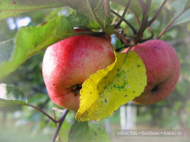 Кукольный калейдоскоп. Третья часть