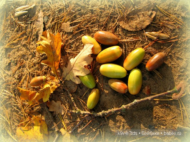Кукольный калейдоскоп. Третья часть