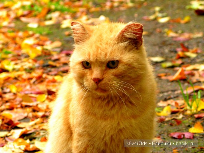 мои фотографии