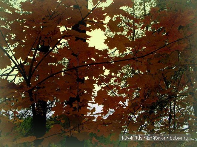 мои фотографии