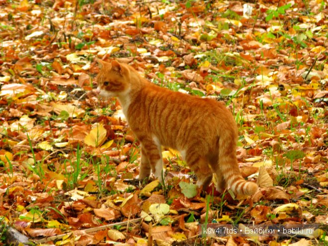 мои фотографии