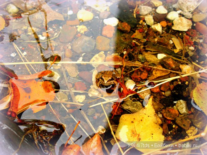 мои фотографии