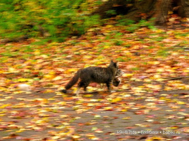 мои фотографии