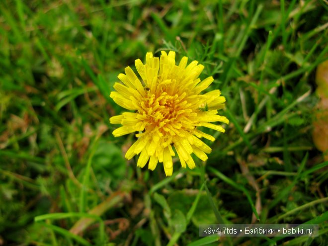 мои фотографии