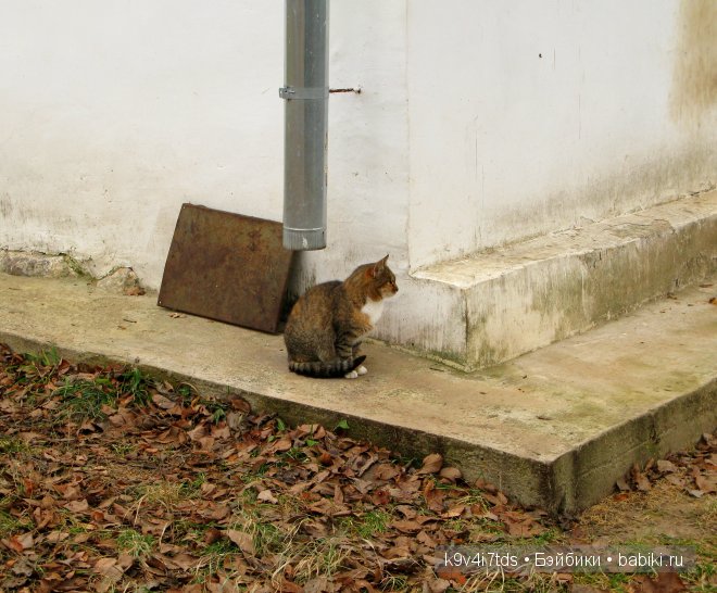 Волшебство в осенний день. Kathe Kruse German Doll Minouche Viola Sylvia Natterer