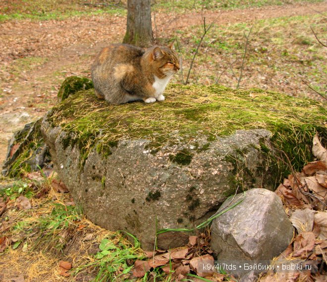 Волшебство в осенний день. Kathe Kruse German Doll Minouche Viola Sylvia Natterer