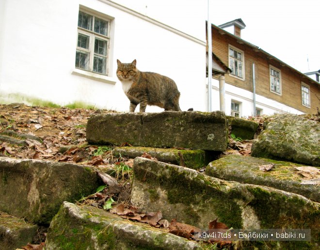 Волшебство в осенний день. Kathe Kruse German Doll Minouche Viola Sylvia Natterer