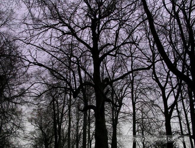 Волшебство в осенний день. Kathe Kruse German Doll Minouche Viola Sylvia Natterer