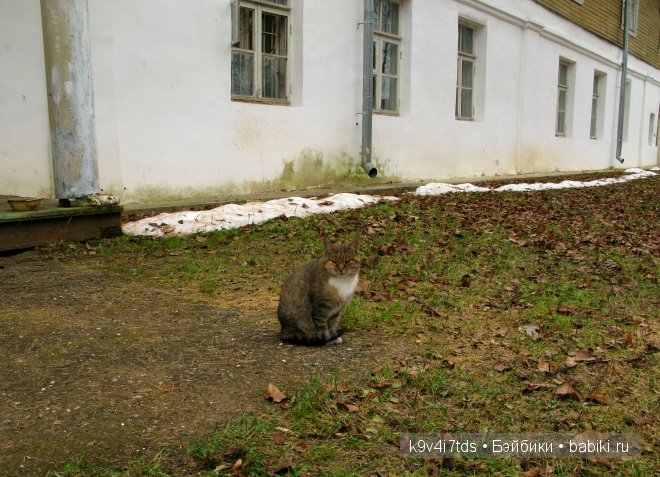 Волшебство в осенний день. Kathe Kruse German Doll Minouche Viola Sylvia Natterer
