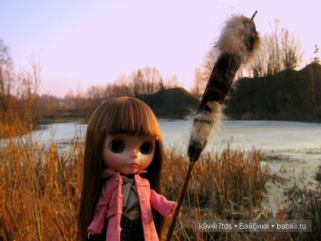 Путешествие на водопад. Raspberry Sorbet Blythe (год выпуска 2011)