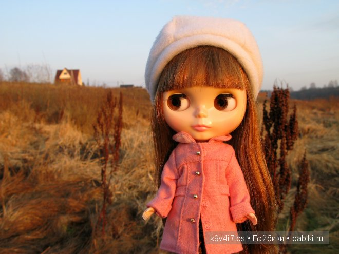 Путешествие на водопад. Raspberry Sorbet Blythe (год выпуска 2011)