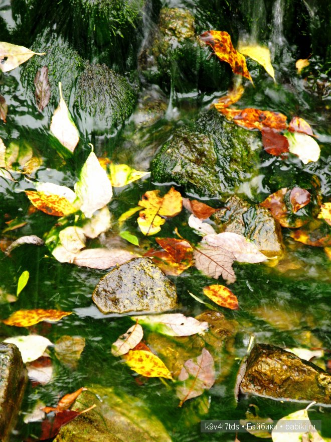 Путешествие на водопад. Raspberry Sorbet Blythe (год выпуска 2011)