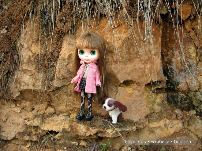 Путешествие на водопад. Raspberry Sorbet Blythe (год выпуска 2011)