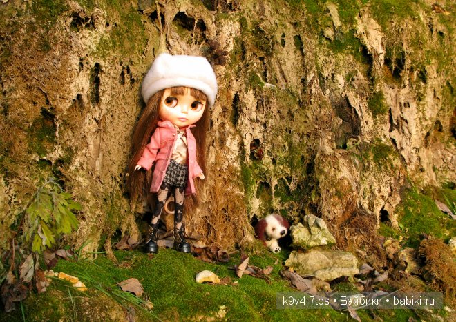 Путешествие на водопад. Raspberry Sorbet Blythe (год выпуска 2011)