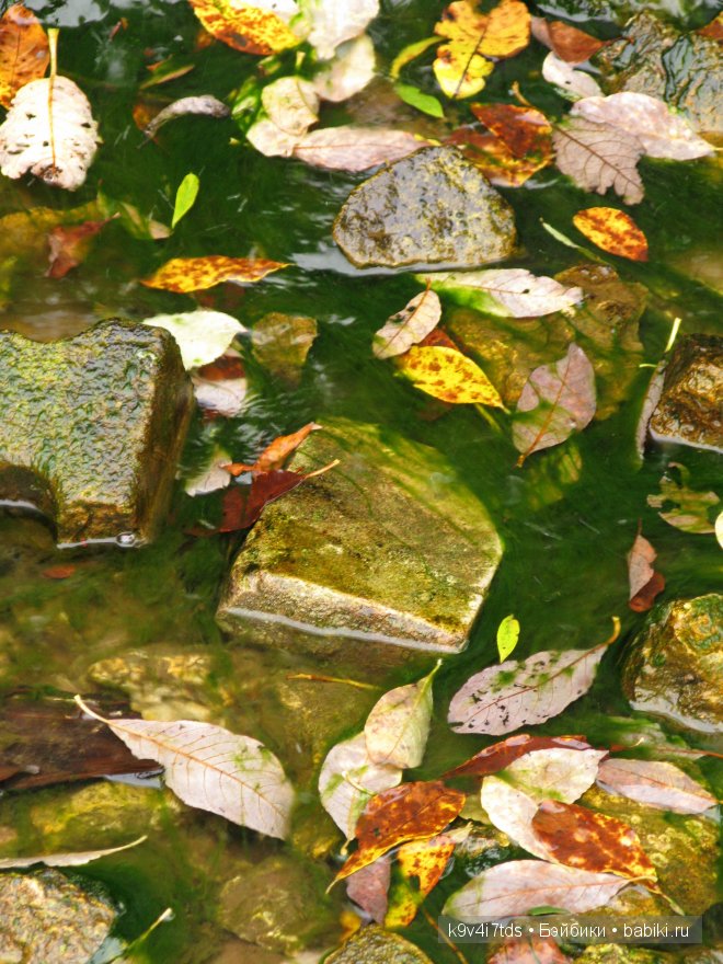 Путешествие на водопад. Raspberry Sorbet Blythe (год выпуска 2011)