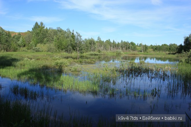 Путешествие на водопад. Raspberry Sorbet Blythe (год выпуска 2011) (фото 2)