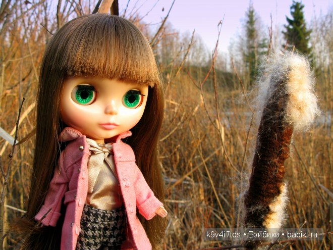 Путешествие на водопад. Raspberry Sorbet Blythe (год выпуска 2011)