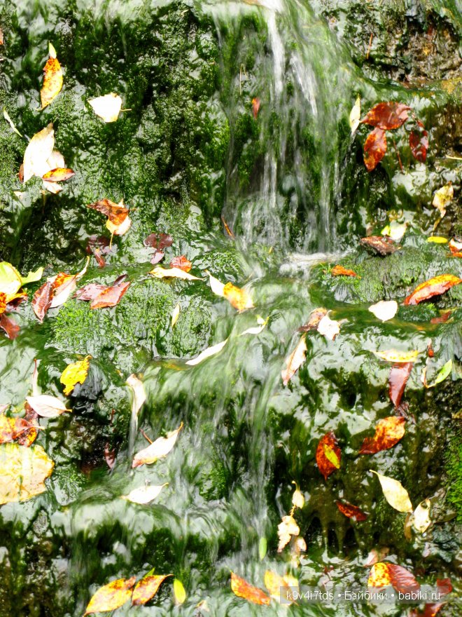 Путешествие на водопад. Raspberry Sorbet Blythe (год выпуска 2011)